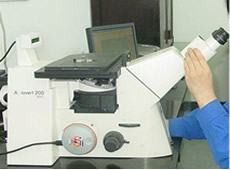 Electronic Metallurgical Microscope
